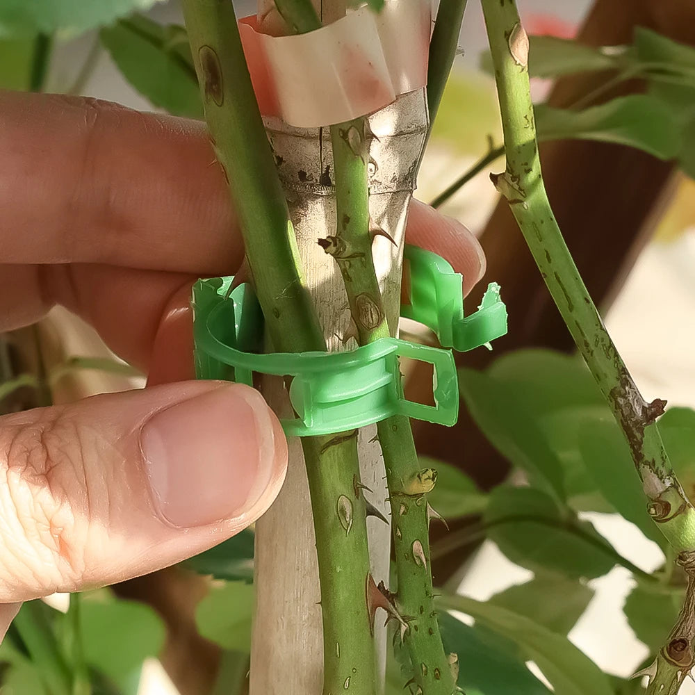 Plant Support Clips