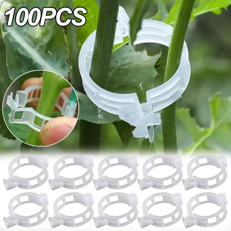 Plant Support Clips