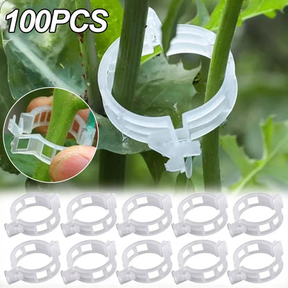 Plant Support Clips