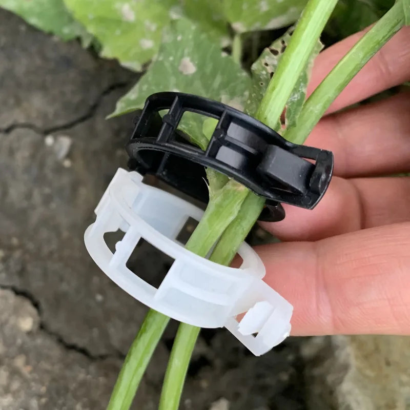 Plant Support Clips