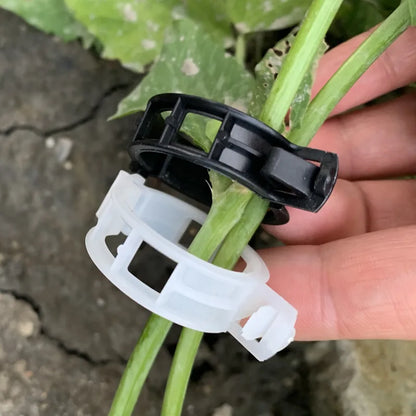 Plant Support Clips